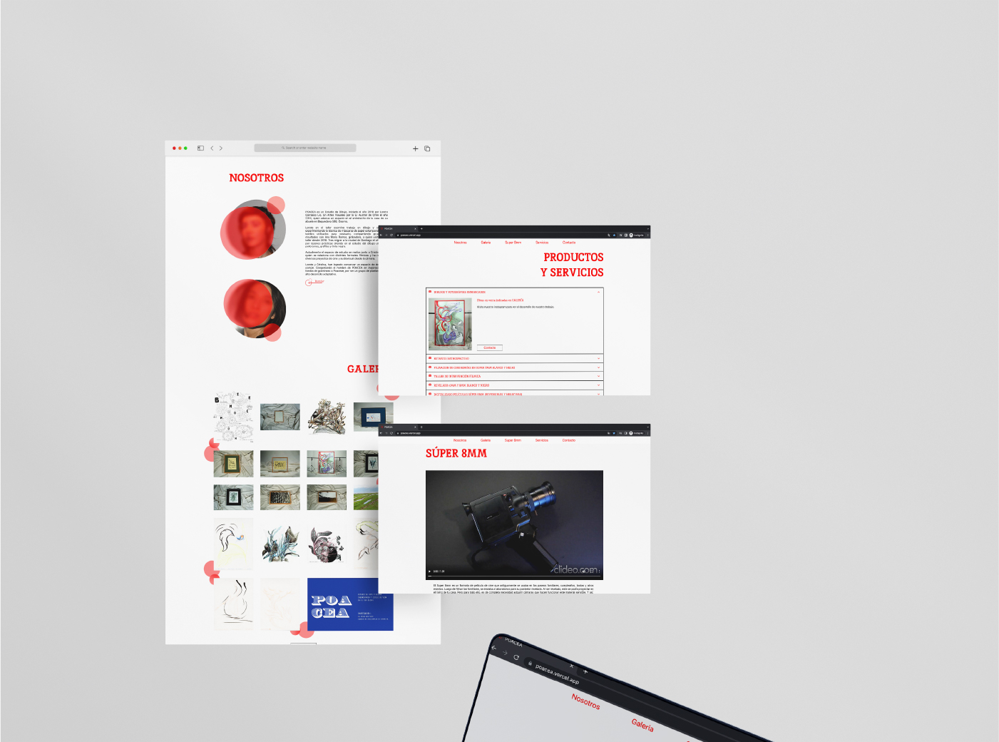 Proyecto POACEA vista 5